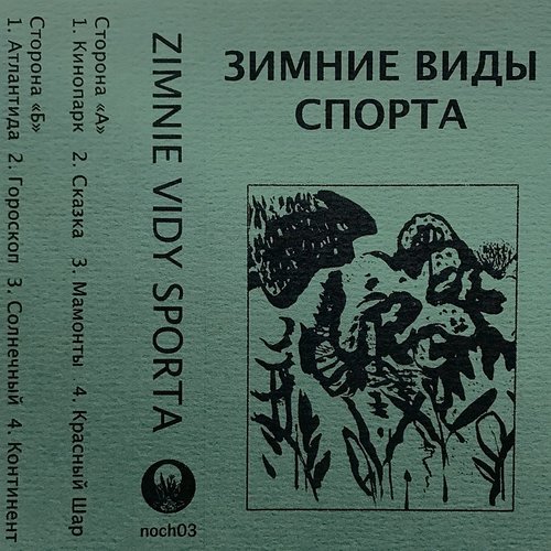зимние виды спорта