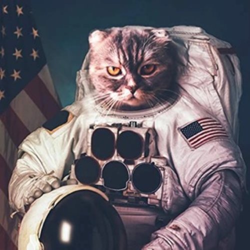 野良猫は宇宙を目指した - Single