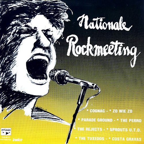 VA - Nationale Rockmeeting