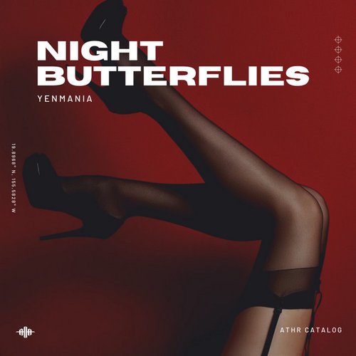 Night Butterflies