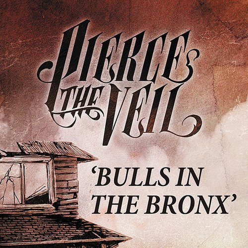 Bulls in the Bronx - Single