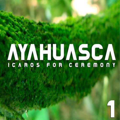 Icaros For Ceremony (Vol. 1)