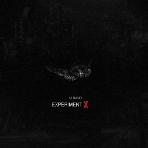 EXPERIMENT X
