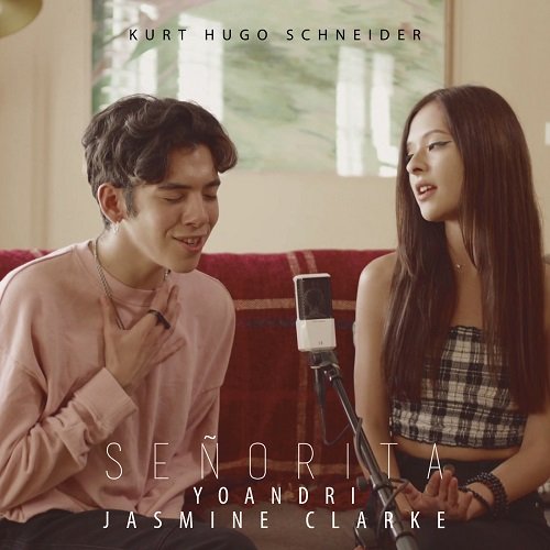 Señorita (Acoustic)