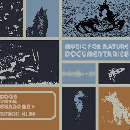 Music for Nature Documentaries