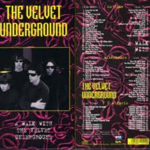A Walk With the Velvet Underground