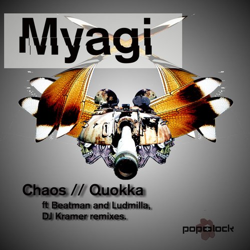 Chaos / Quokka