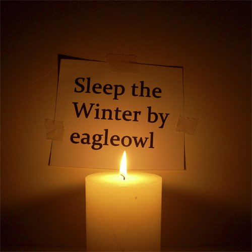 Sleep the Winter
