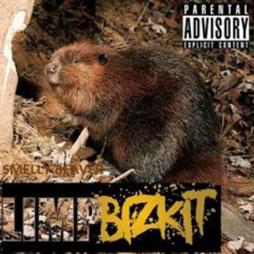 crack addict limp bizkit download crack addict limp bizkit download