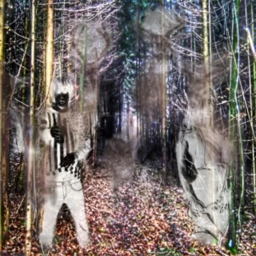 Hollows