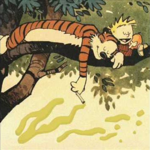 Summer Friends