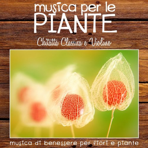 Musica per le piante: chitarra classica e violino (Musica di benessere per fiori e piante)