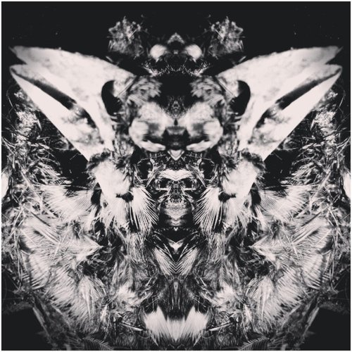 Remedial Chaos Theory - EP