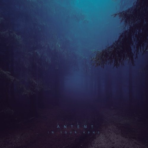In Your Arms - Single