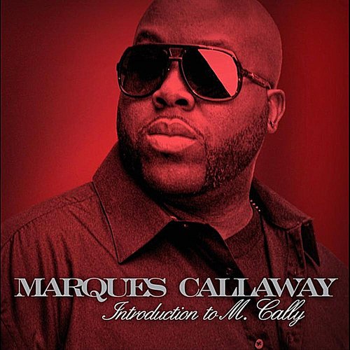 Introduction to M.Cally