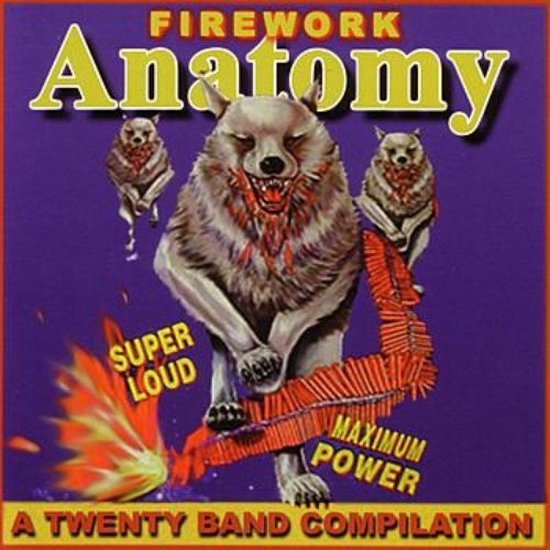Firework Anatomy - A Twenty Band Compilation