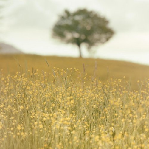 Lazy Sunday (So Fancy) - Single