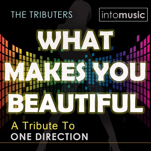 What Makes You Beautiful (A Tribute to One Direction - the Mixes)
