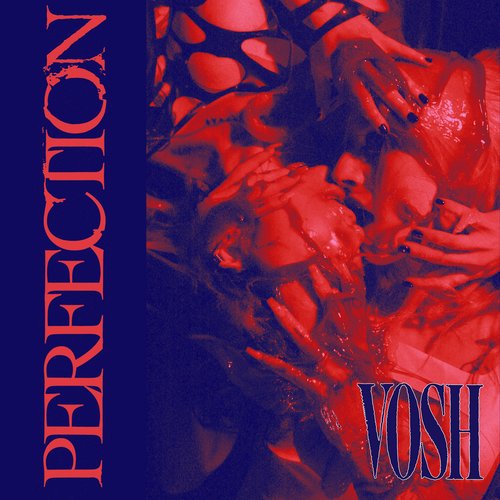 Perfection (Single Mix)