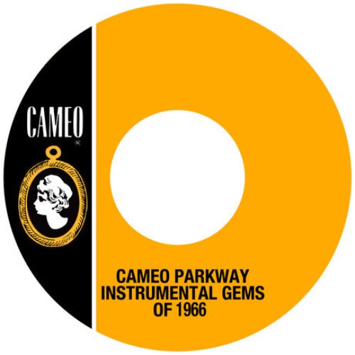 Cameo Parkway Instrumental Gems of 1966