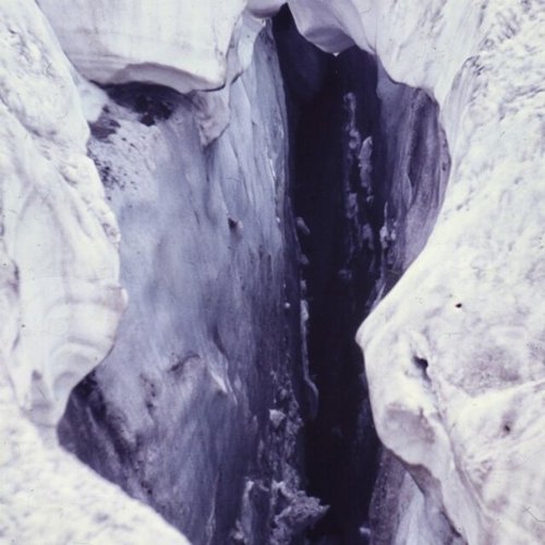 Polar