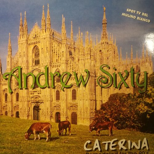 Caterina