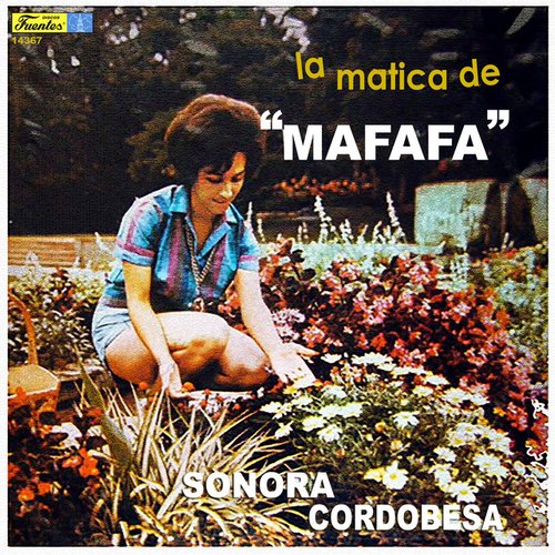 La Matica De Mafafa