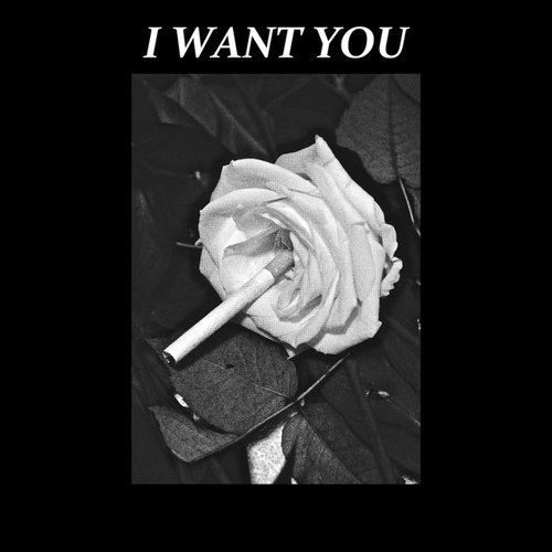 I Want You