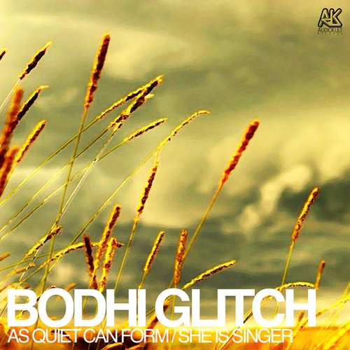 Bodhi Glitch
