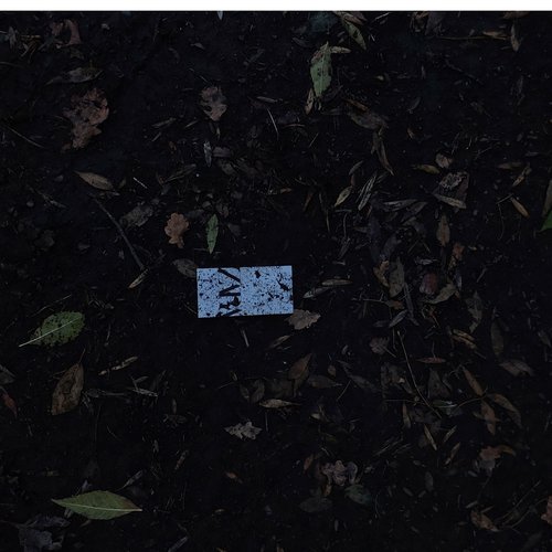 yeyo trought my theeths