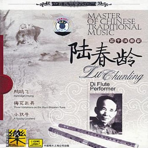 Master of Traditional Chinese Music：Dizi