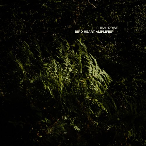 Bird Heart Amplifier