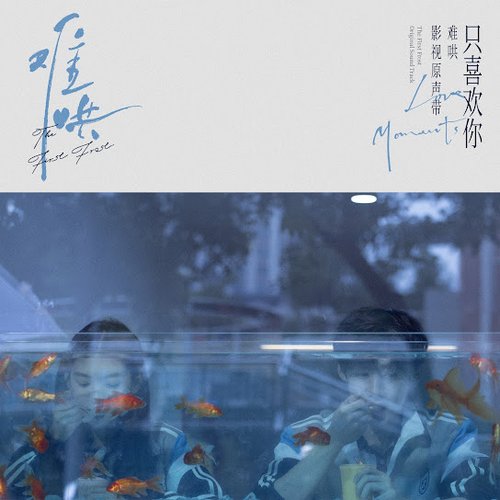电视剧《难哄》影视原声带·只喜欢你Love Moments