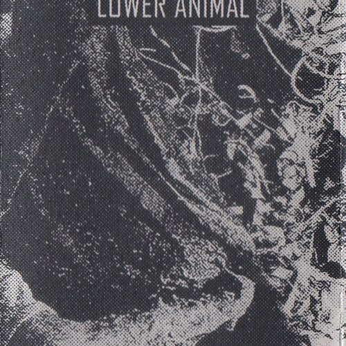Lower Animal
