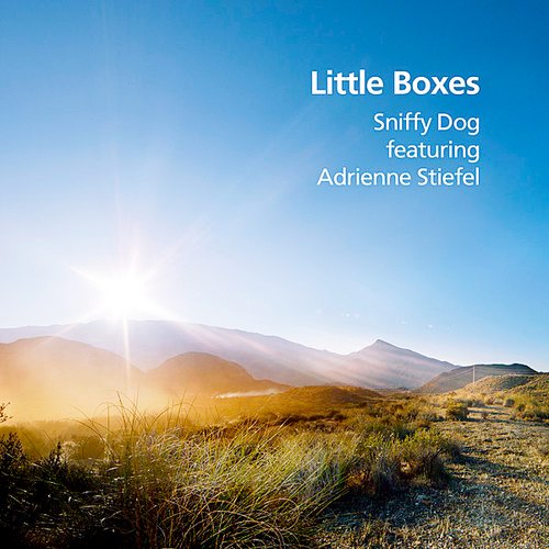 Little Boxes (feat. Adrienne Stiefel)