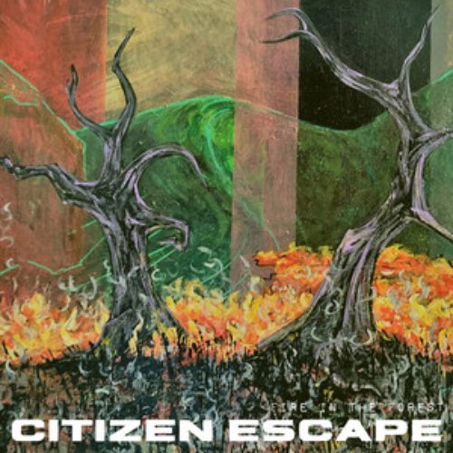 Fire in the Forest - Single