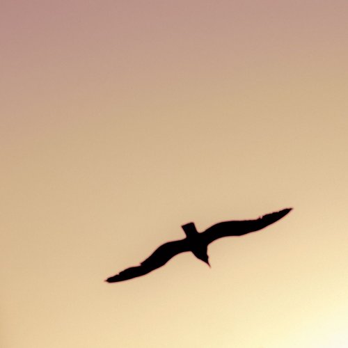Under Quiet Skies