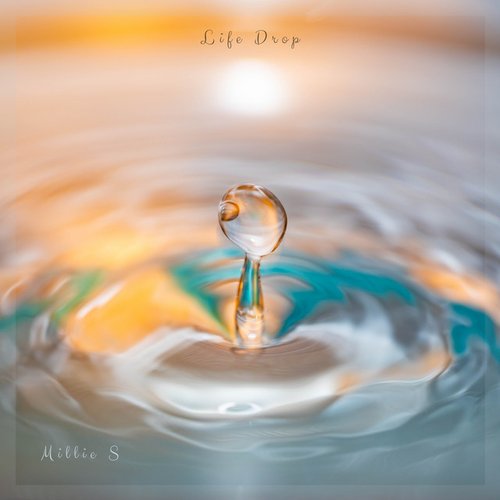 Life Drop