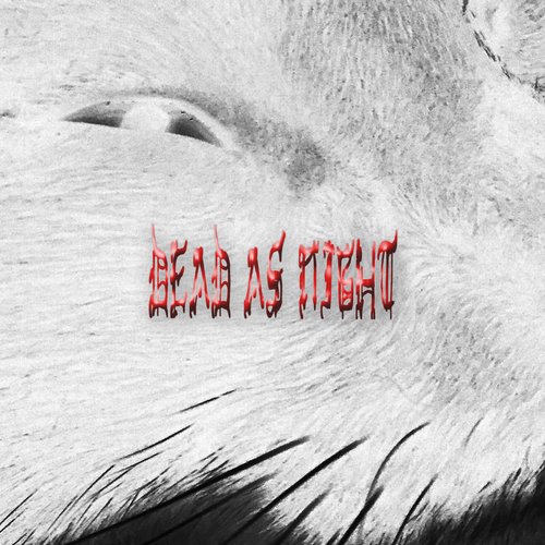 Dead As Night