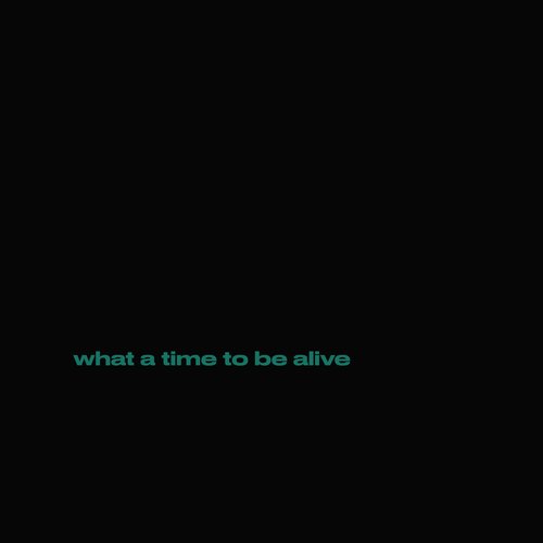 What a Time to Be Alive - Single