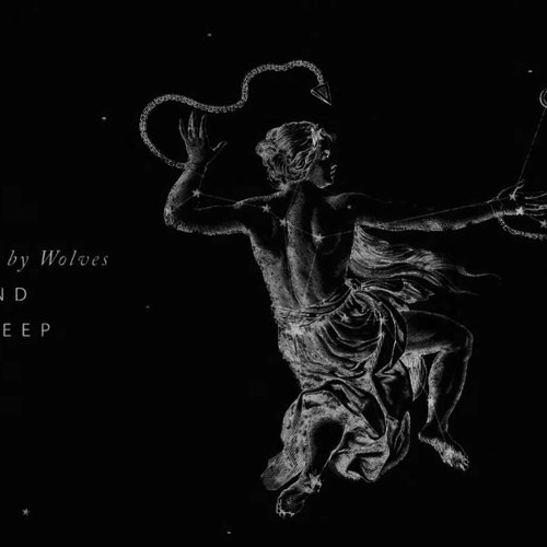 Trampled by Wolves and Sheep
