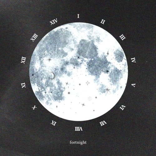 fortnight - Single