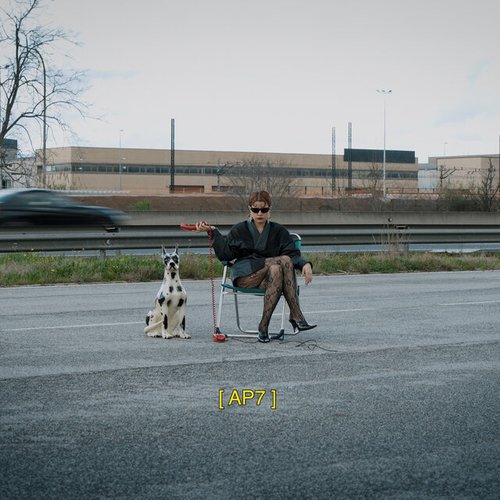 AP7 - Single