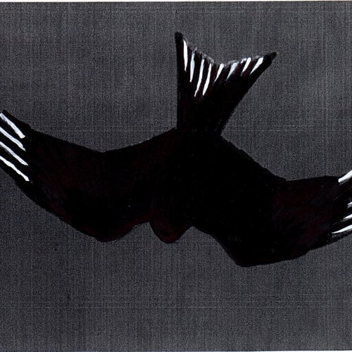Untitled Album