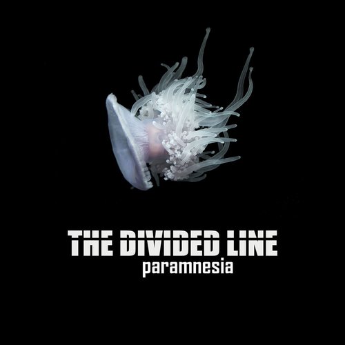 Paramnesia