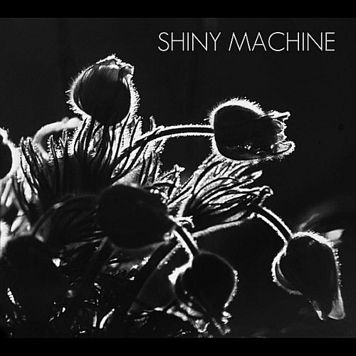 Shiny Machine