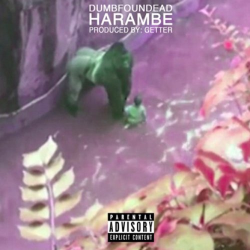 HARAMBE - SINGLE