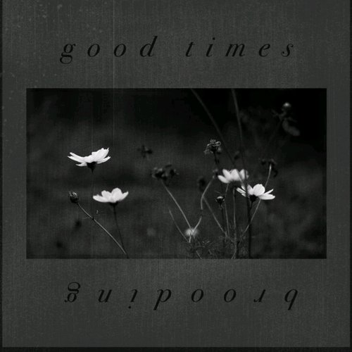 brooding