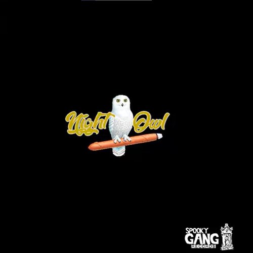 Night Owl