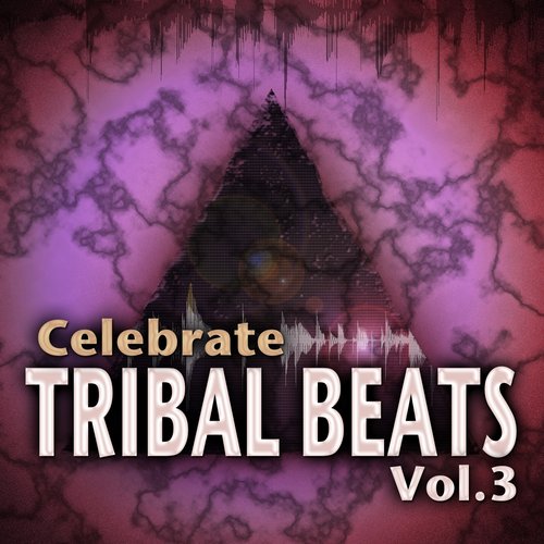 Celebrate Tribal Beats, Vol. 3 (Collection from Progressive to Tech House With Latin Tribal Influences)